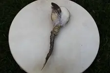 Rassel-Baukurs – Die Medizinrassel mit Sandra Wolfram