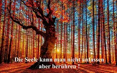 Basis-Seminar Verbindung mit Deiner Lichtseele (Tag 3) mit Sabine & Roy Müller