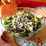 Am Kräuter-Gut-Tisch mit Hildegard „Allerlei mit neun Kräutern“ – aus wilder Natur die eigene Heilnahrung für das ganze Jahr mit Kräuterfrau Elisabeth Püschmann