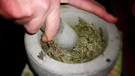 Heilpflanzen-Praxistag „Die Destille und ihre Pflanzenwässer“ – Herstellung von Hydrolaten mit Kräuterfrau Elisabeth Püschmann