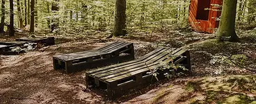 Waldkraft-Tage im Thüringer Wald