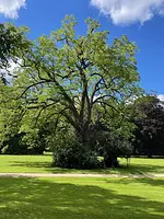 Seminar im geomantischen Jahreskreis Sommer – Element Feuer mit Jens Winter