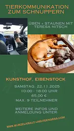 Seminar Tierkommunikation zum Schnuppern – Üben, Staunen, Krafttiersuche mit Teresa Nitsch