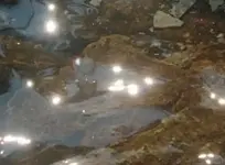 Schamanischer Klangheilabend mit Urkraft Erzgebirge e.V.