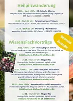 Heilpilz Fachvortrag: Fliegenpilz – Hintergründe, fundiert, praxisnah, logisch erklärt mit Michael Reisinger