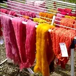 Die Welt der Farben – „Wilde Farben – Färben mit Wild- & Heilpflanzen“ mit Kräuterfrau Elisabeth Püschmann