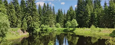 Fastenwandern und Selbstreflexion im schönen Wanderdorf Weitersglashütte im Erzgebirge mit Kati Walther