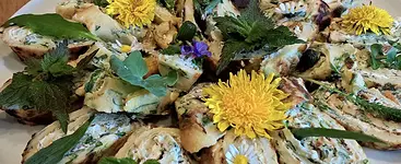 Kleine Wildkräuterwanderung mit Kochkurs