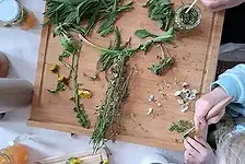 Seminar Frühlings-Oxymel – Wilde Naturapotheke – Entschlacken, Entgiften und Frühlingsfit mit Oxymel und Wildkräutern mit Sandra Schneider