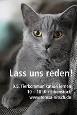Seminar Tierkommunikation zum Schnuppern – Üben, Staunen, Krafttiersuche mit Teresa Nitsch