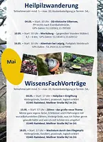 Heilpilzwanderung mit Michael Reisinger