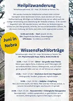 Heilpilzwanderung mit Michael Reisinger