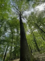 Seminar im geomantischen Jahreskreis Frühjahr – Element Luft mit Jens Winter