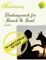 Ausbildungsstart BindungsCoach für Mensch & Hund mit Dozententeam