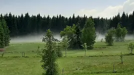 Fastenwandern im Westerzgebirge mit Diana Baumgartl-Klemm