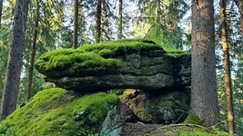 Fastenwandern nach Buchinger mit Solveig Steffan