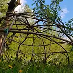 Naturweiber-Schwitzhütte im Kräuter-Gut – „einfach sein“ und einfach „eben nur Sein“ unter Weibern mit Franziska Weiß & Elisabeth Püschmann
