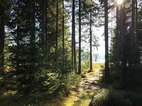 Scheinfastenwandern im Westerzgebirge mit Solveig Steffan